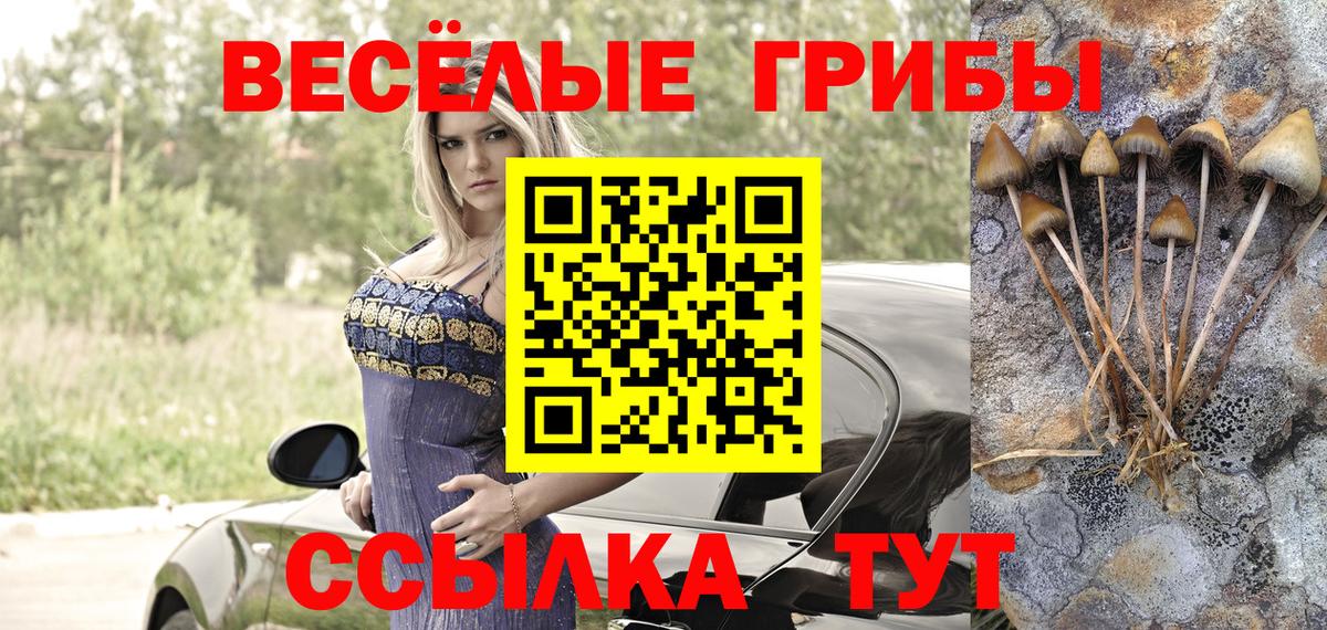 цены   Псилоцибиновые грибы прущие грибы  Борзя  Вход с VPN  Псилоцибиновые грибы GOLDEN TEACHER 