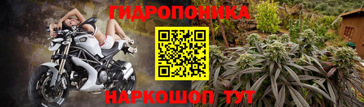 Бошки Шишки планчик  Каннабис план  Борзя  Вход с VPN 